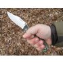 Double Safe Hunter 03.JPG